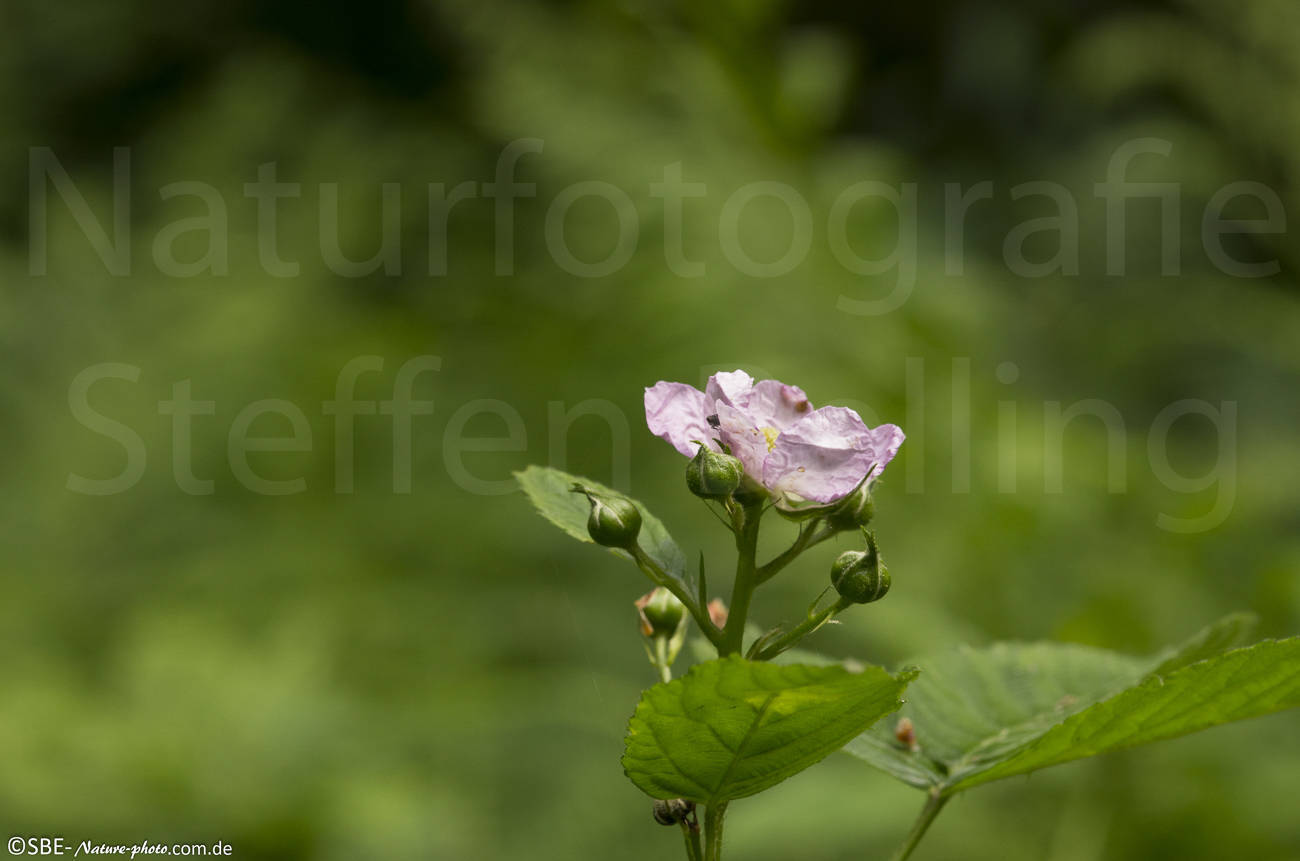 _IGP6875